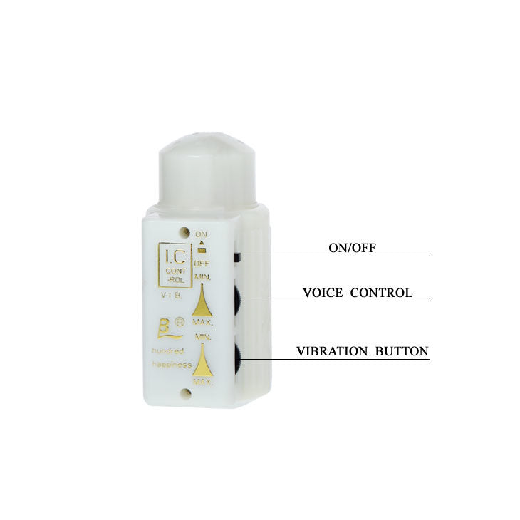 BAILE - MR BIG MASTURBATORE REALISTICO CON PENE E ANO