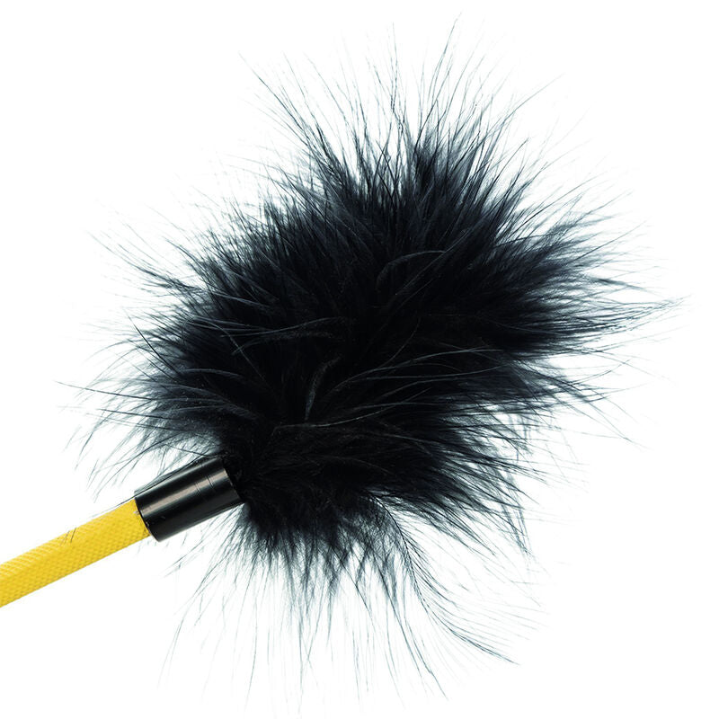 CALEXOTICS - RACCOLTO DI PIUME SENZA LIMITI