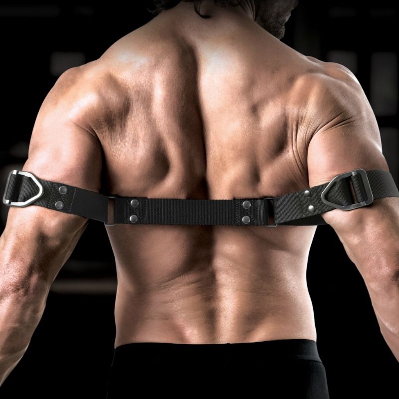 SIR RICHARDS - COMANDO PIEGAMENTO BICIPITI